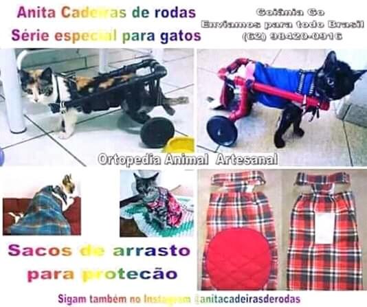 Cadeiras de rodas para cães e gatos e acessórios - Foto 3