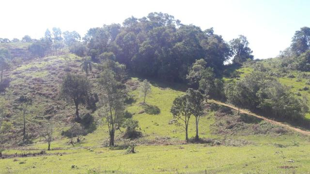 Fazenda 85 alqueres - Foto 4