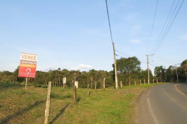 Terreno para Venda, São Bento do Sul / SC, bairro Rio Vermelho Estação - Foto 5