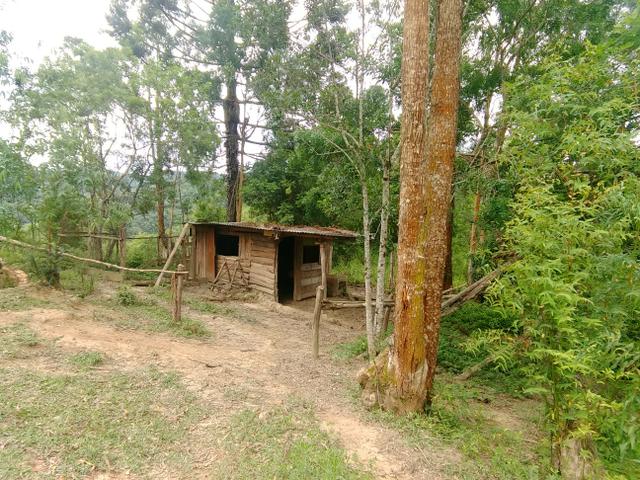 Troco ou vendo Chácara 13.000m2 - Foto 12