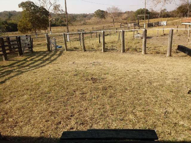 Fazenda 163 hectares, no chapel do sol, em Acorizal - Foto 17