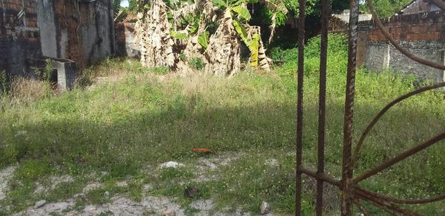 Terreno - Foto 2