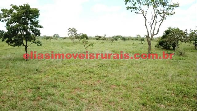 Sítio meio alqueire - Entre Uberlândia e Monte Alegre - Foto 10