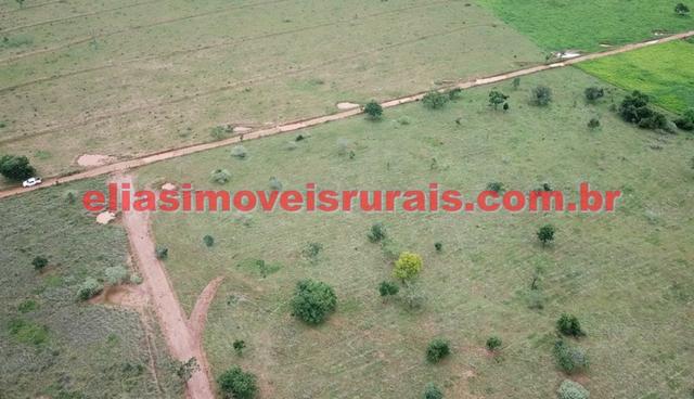 Sítio meio alqueire - Entre Uberlândia e Monte Alegre - Foto 12
