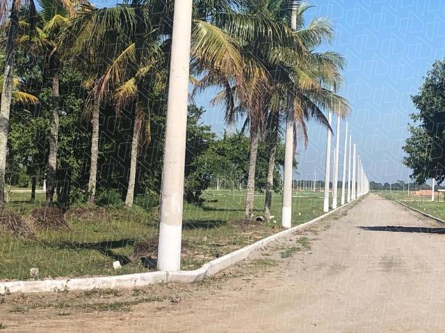 Loteamento com RGI, ciclovia e áreas de esporte e lazer!venha conferir!.02 - Foto 5