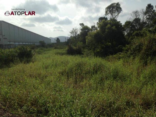 Terreno à venda, 300 m² por R$ 130.000,00 - São Domingos - Navegantes/SC - Foto 2