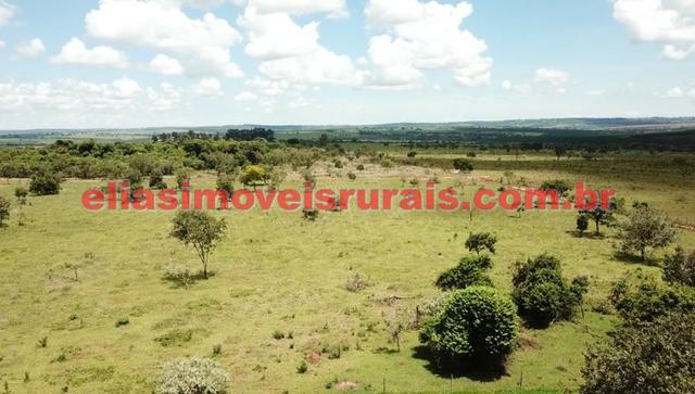 Sítio meio alqueire - Entre Uberlândia e Monte Alegre