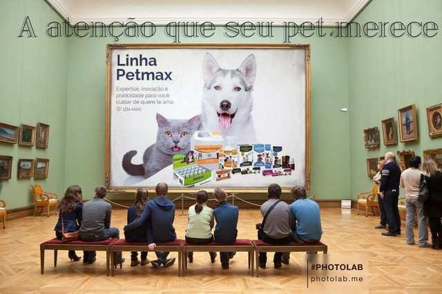 Vendedor externo com experiência
