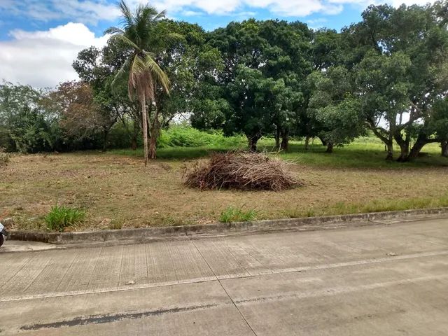  Corretor de imóveis cadastrado no conselho classe  - Foto 3