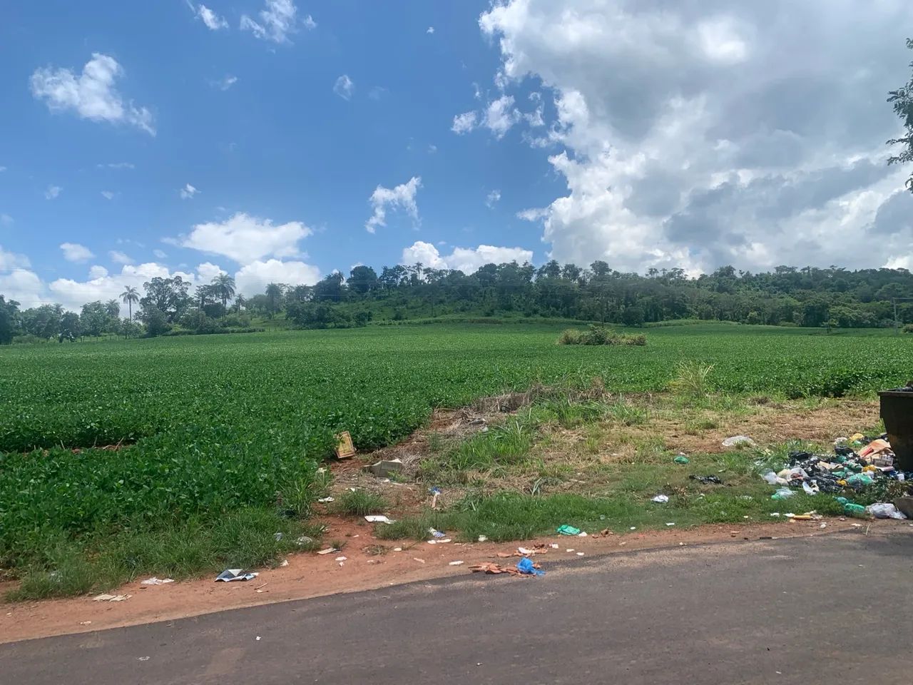 Área 4 alqueires-Cássia-MG/Delfinópolis-antes da balsa-frente rodovia - Foto 4