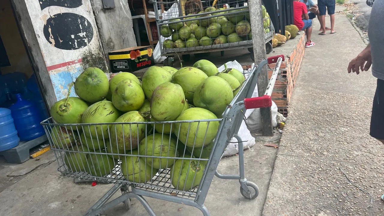 Entrega-se coco para venda de água de coco  - Foto 5