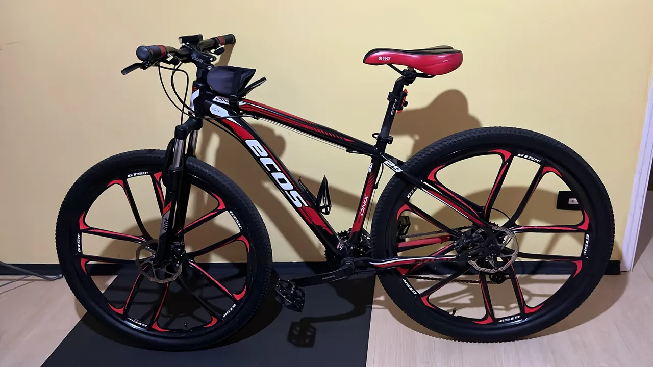 Bicicleta Aro 29 Ecos Onix