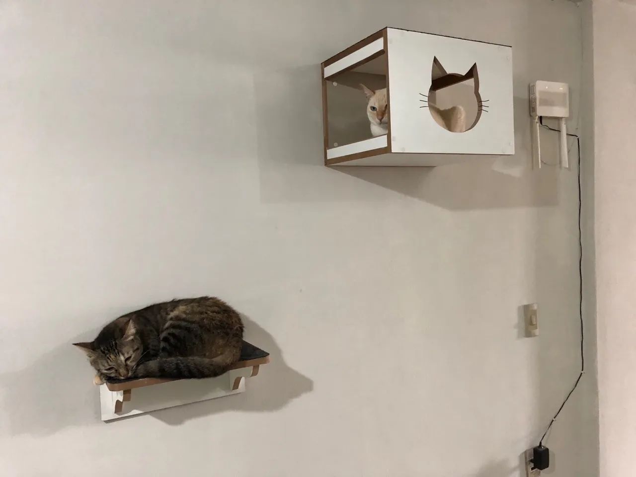 Playground para gatos - Decoração e diversão! - Foto 5