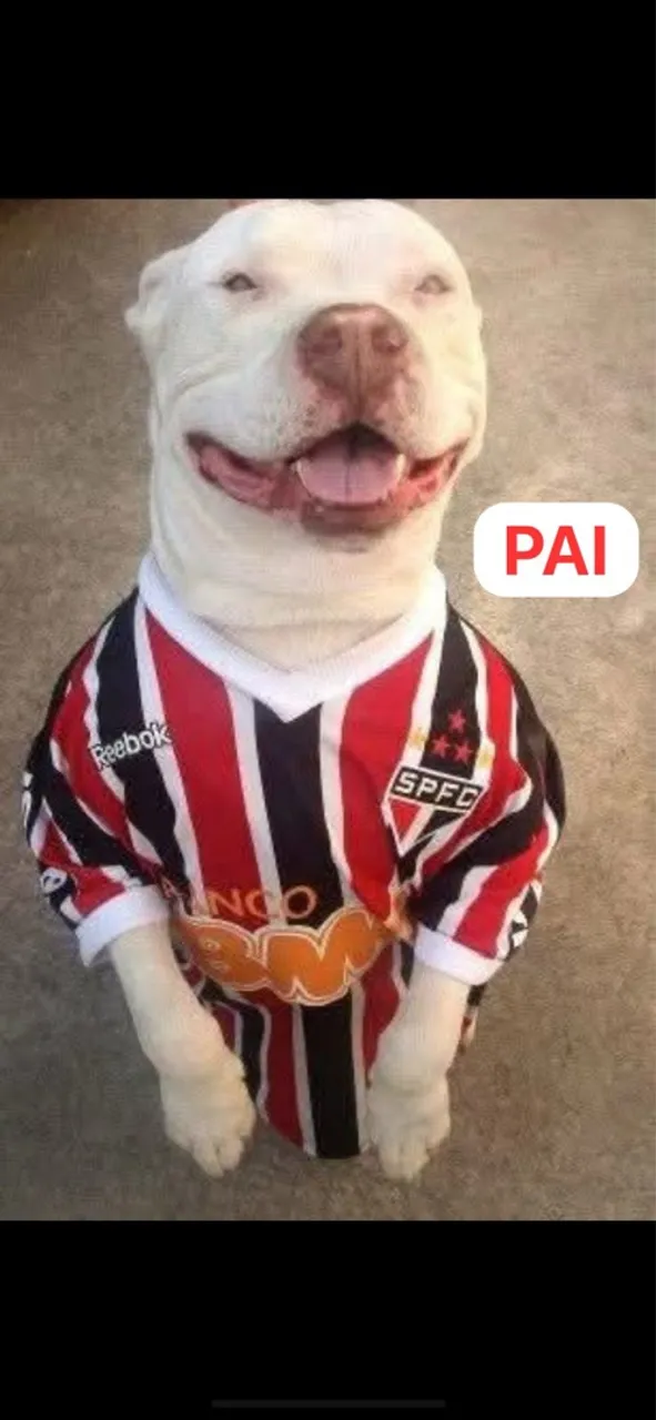 Filhotes de pitbull