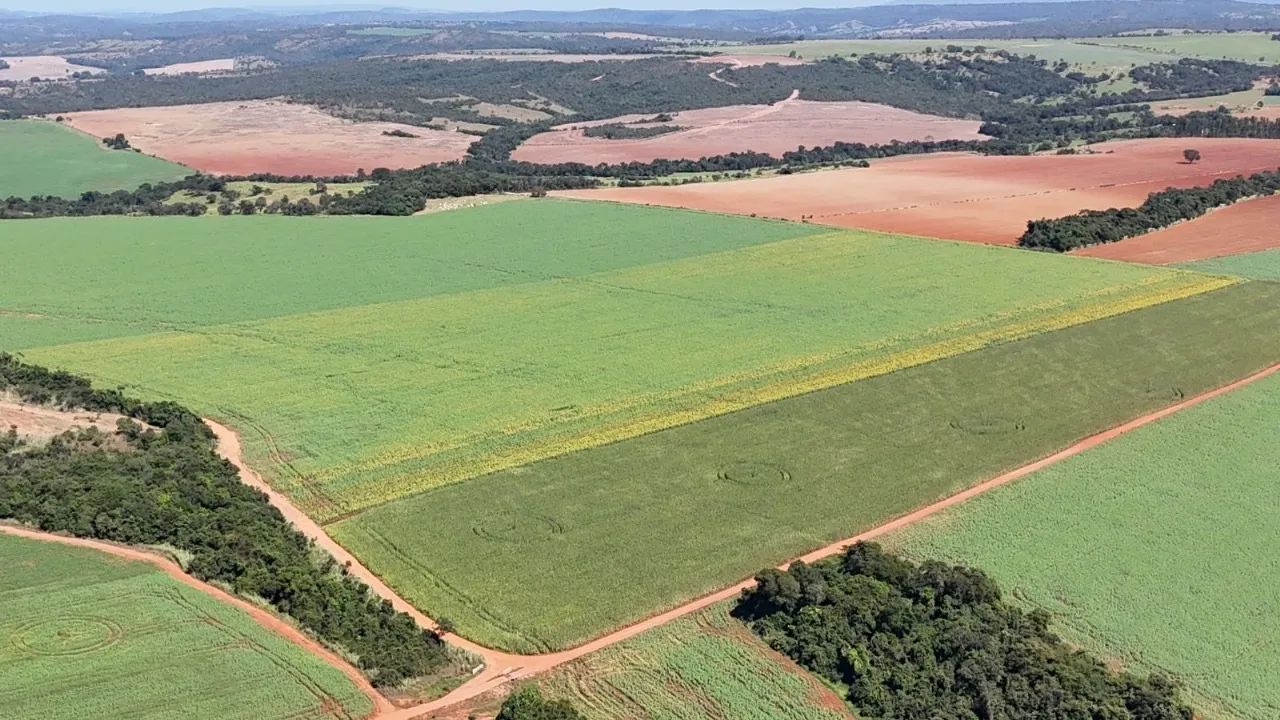 Fazenda de 178 alqueires em Ipameri-Go - Foto 4