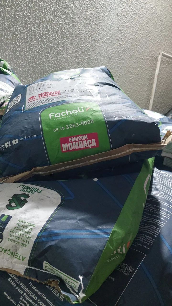 Semente de capim Mombaça revestida 10kg - Facholli - Foto 3