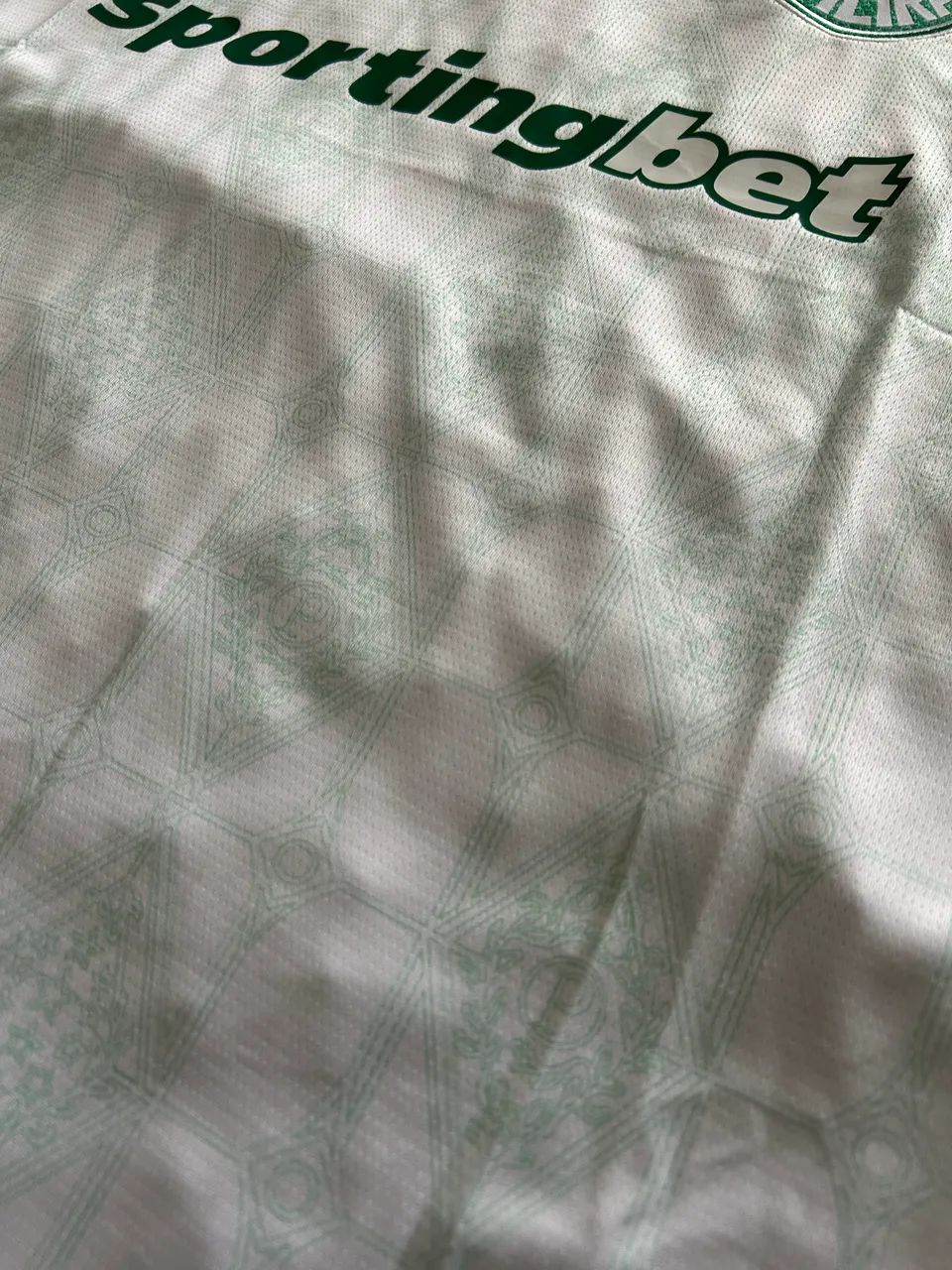 Palmeiras Reserva 2025 - Foto 2