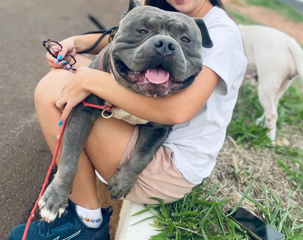 Cobertura american bully  - Foto 2