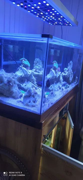 Aquário Completo com Iluminação LED - Foto 2