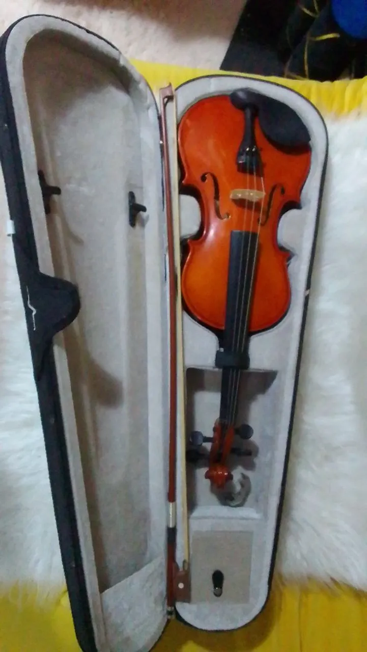 Violino com estojo