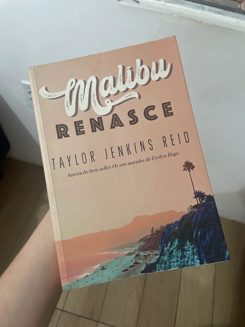 Malibu Renasce - Livro