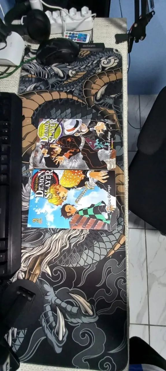 Demon Slayer Manga Book Vol. 2 and 3.