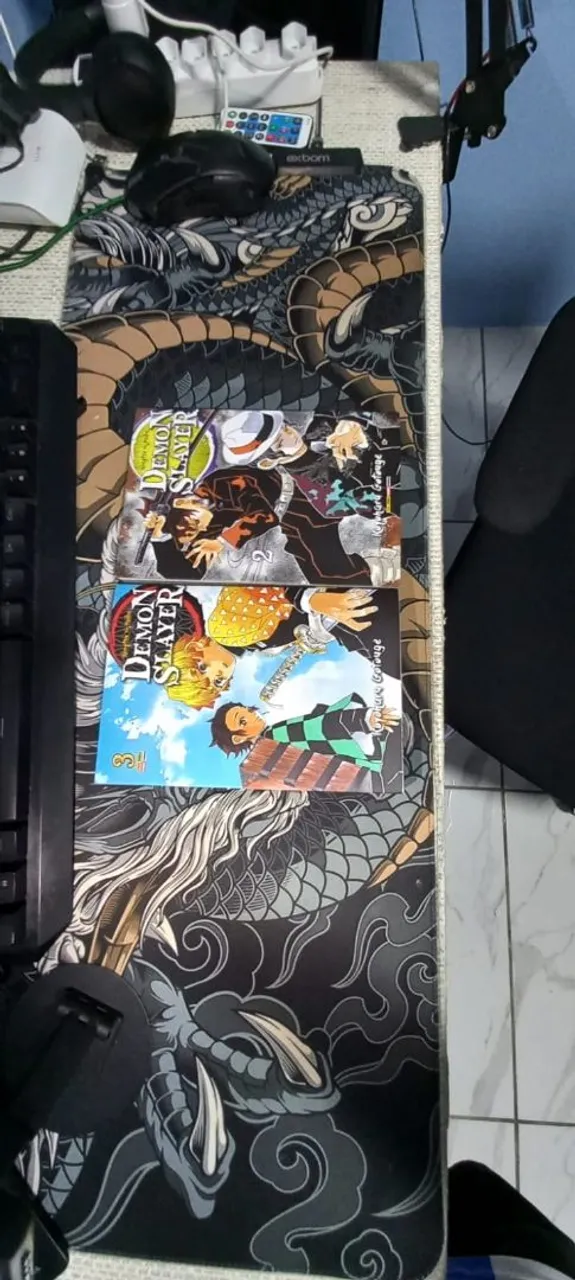 Livro Mangá Demon Slayer Vol. 2 e 3.