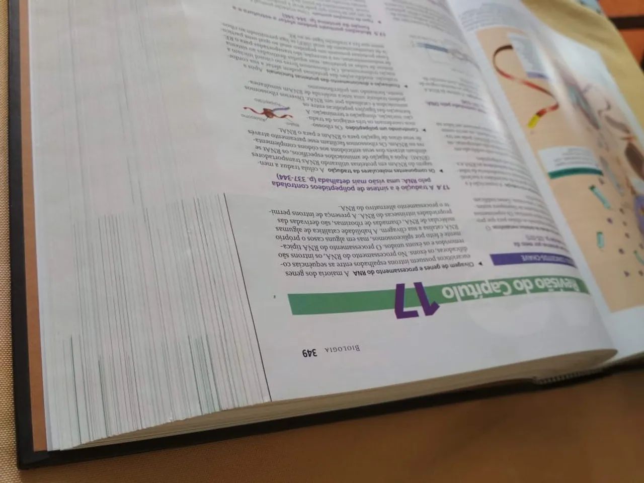 Livro Biologia Campbell Reece - Foto 5