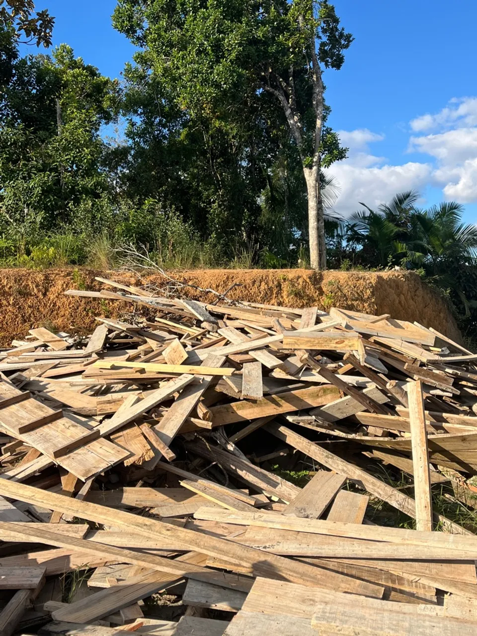 Doação de madeiras de construção