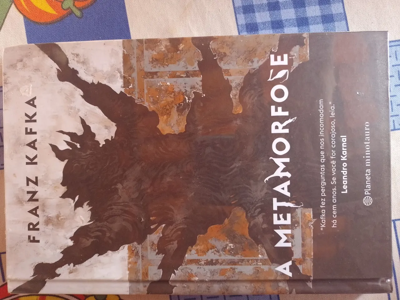 A Metamorfose - Franz Kafka - Capa Dura