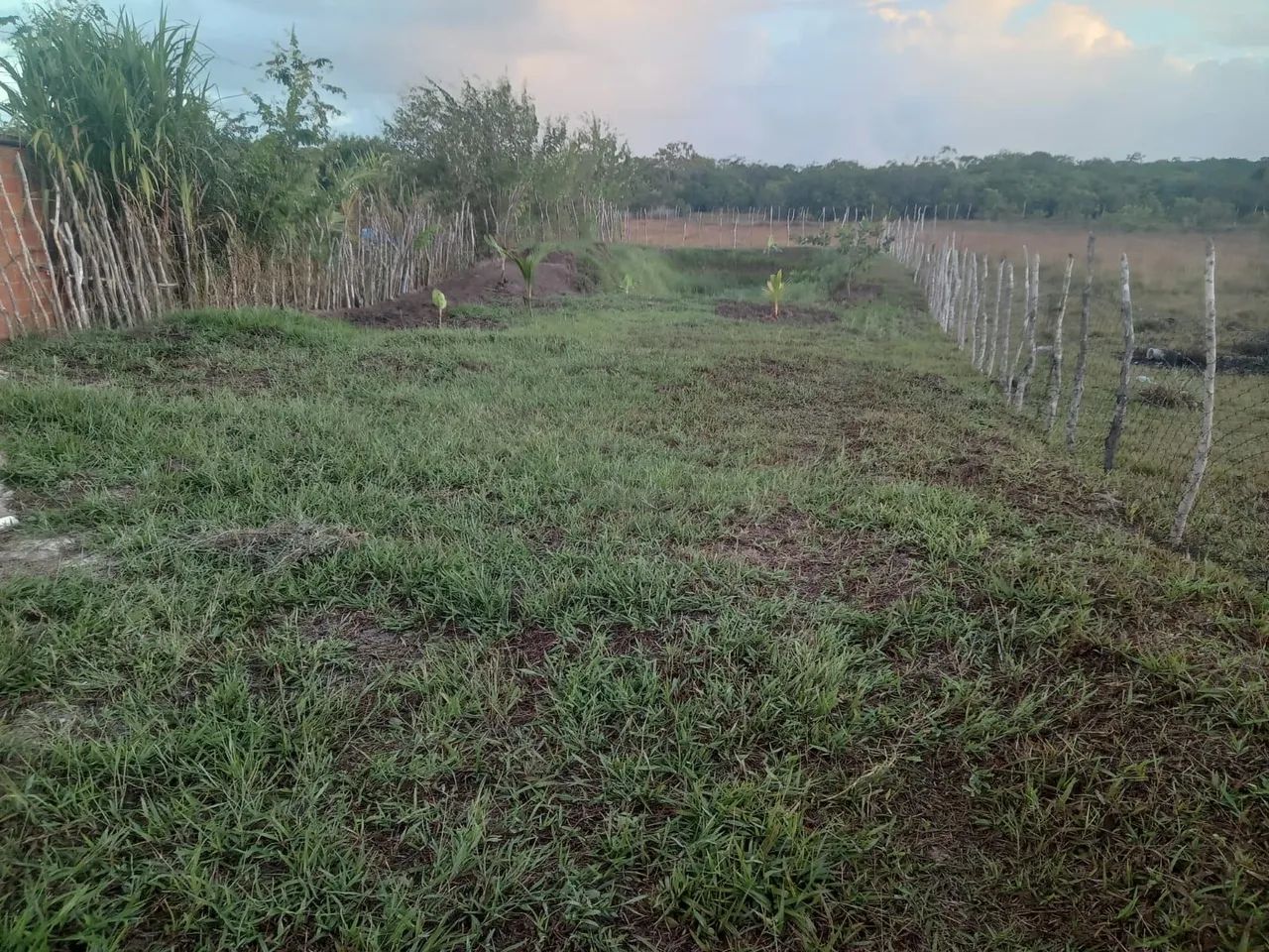 Vende- Se Terreno em Pacatuba- Se - Foto 2
