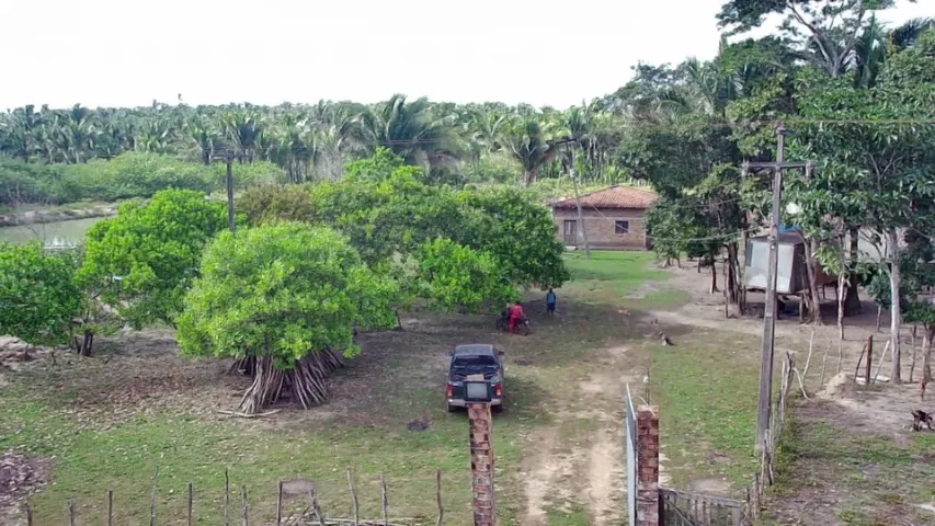 SÍTIO E FAZENDA