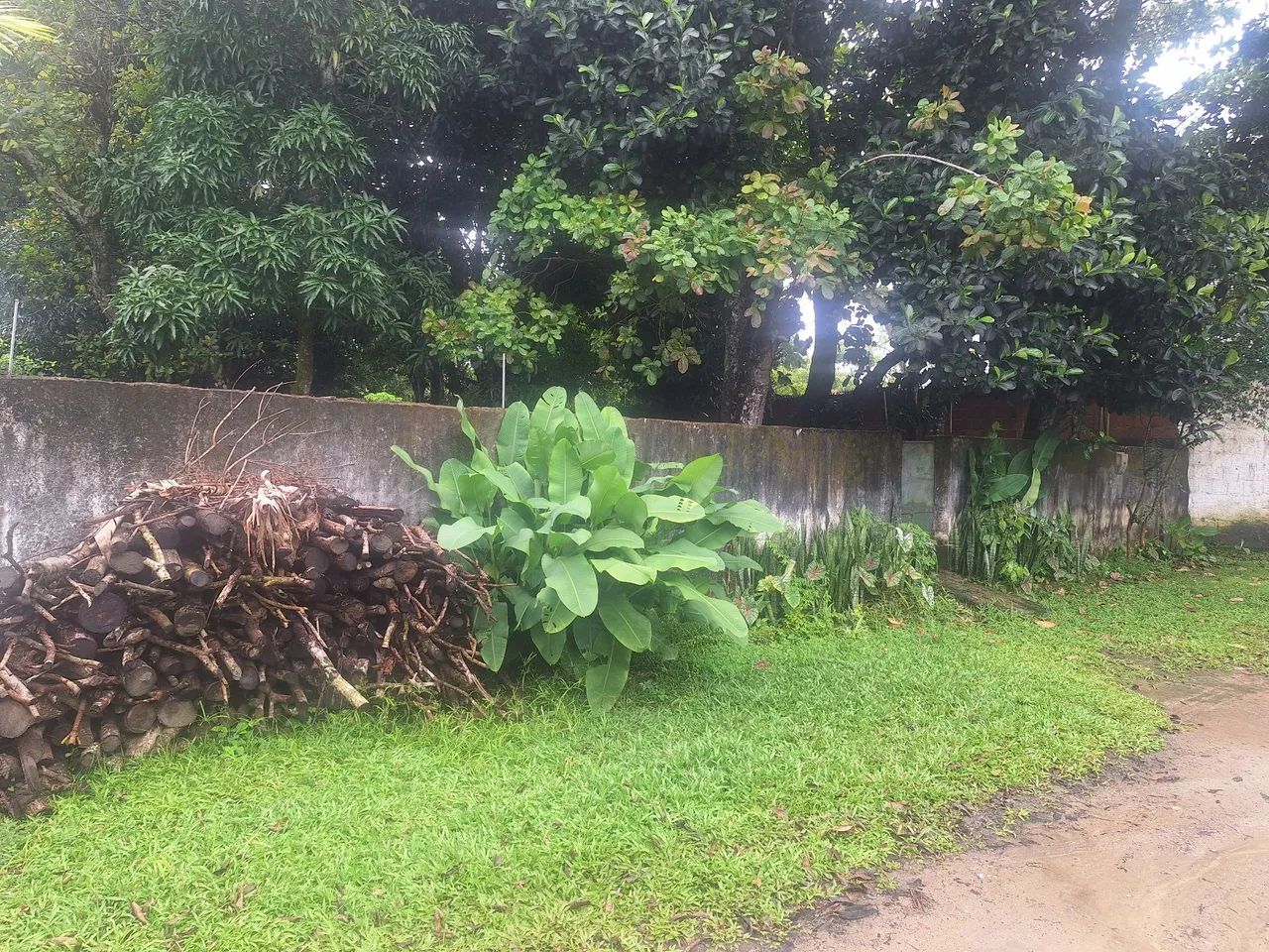 Terreno em Aldeia - Sinal verde - Foto 2