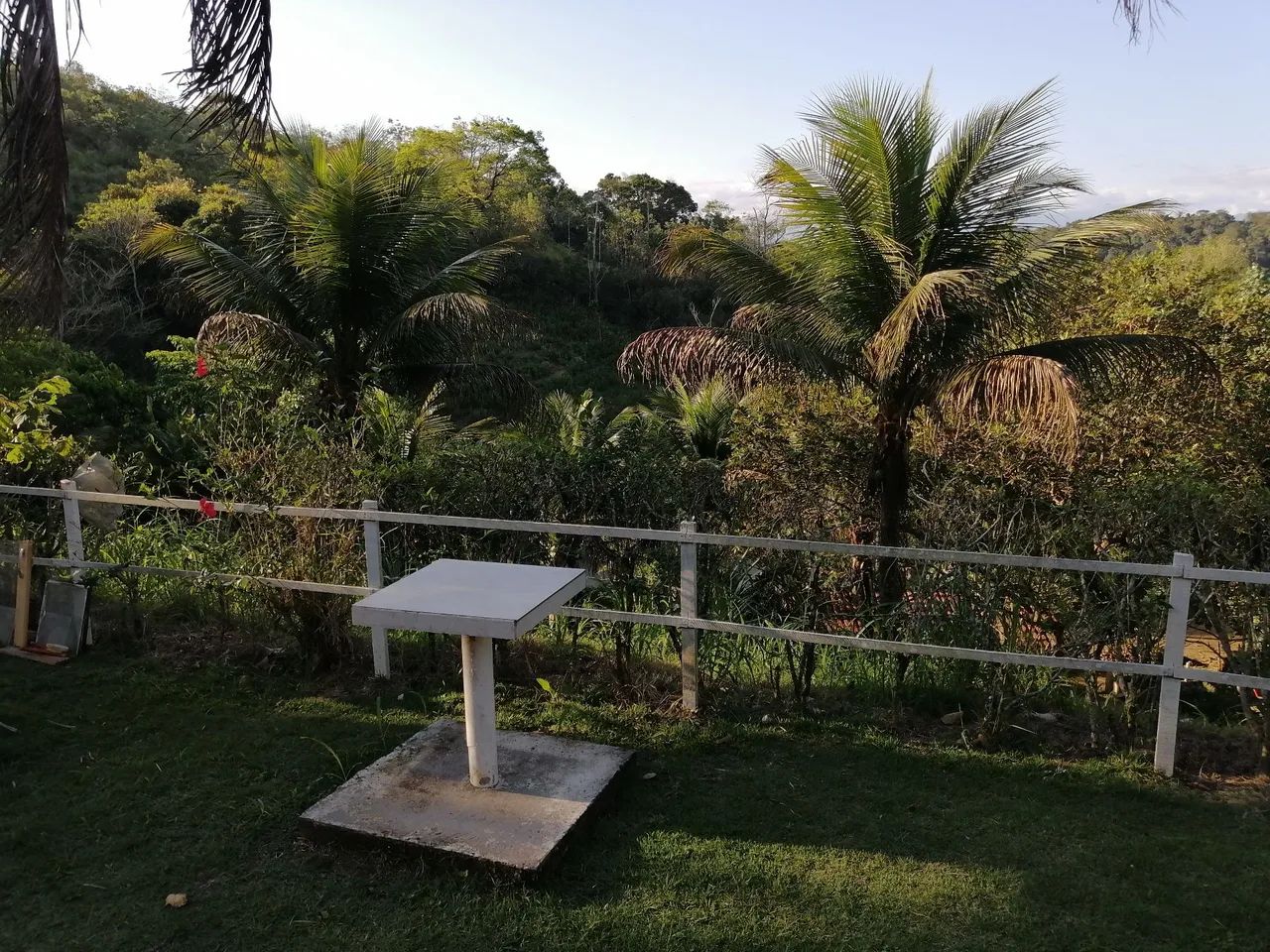 Lindo sitio com coqueiros - Foto 4