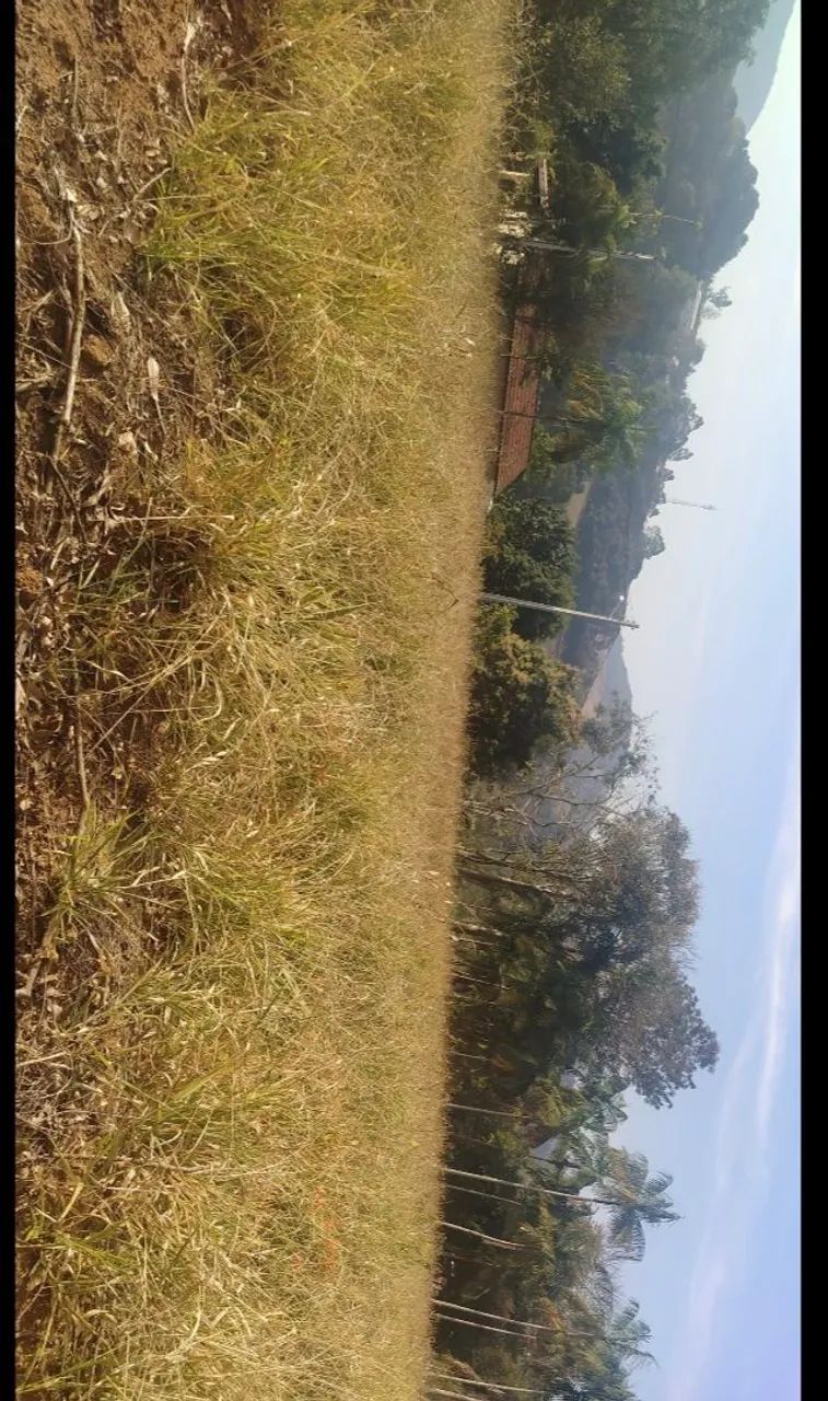 Terreno pedra bela - Foto 3