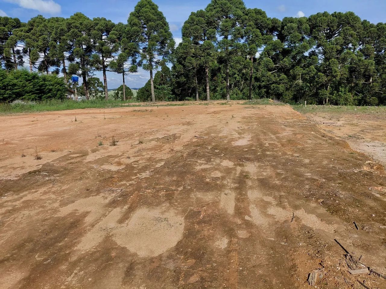 Lote  - Foto 2