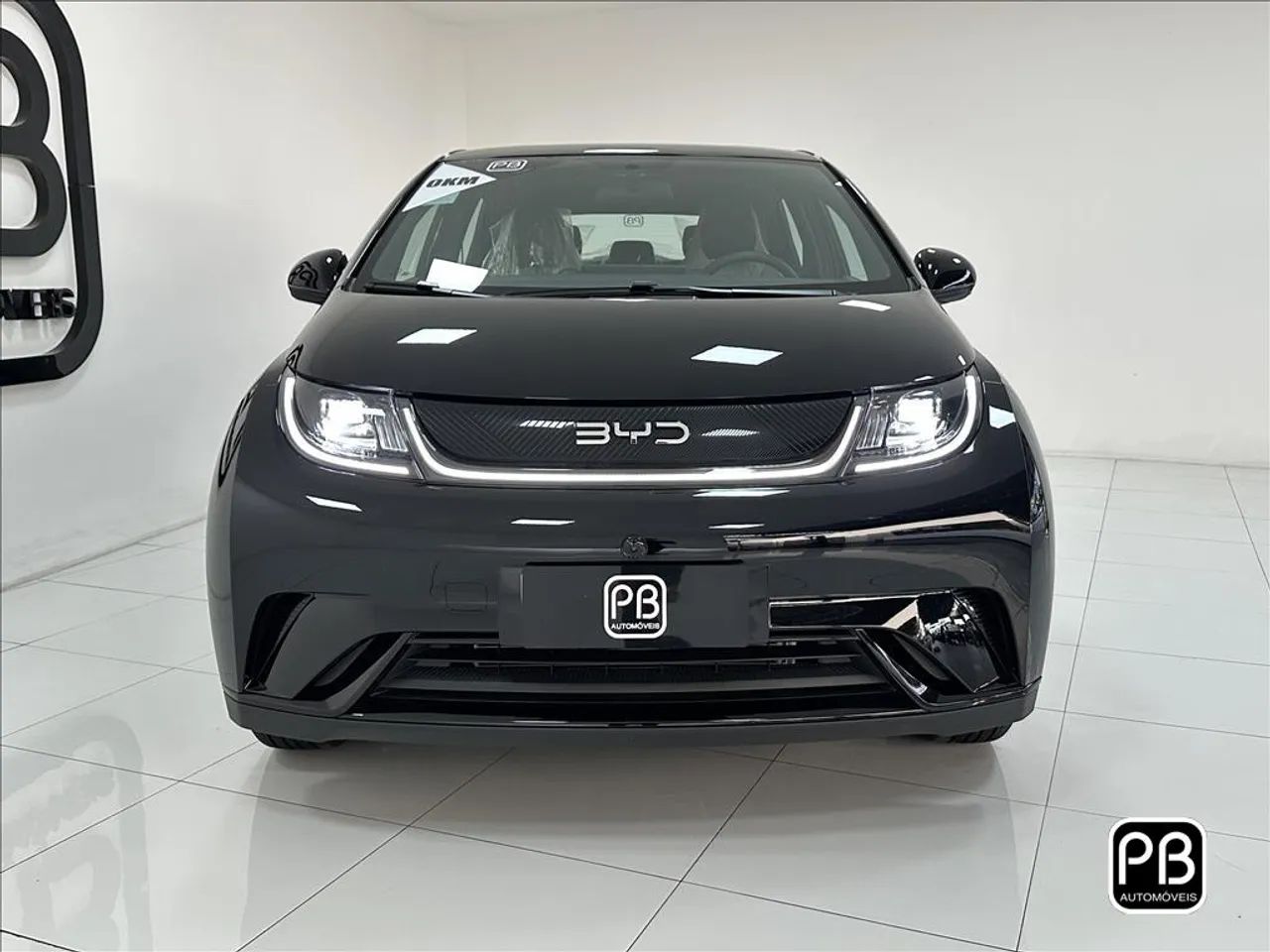 BYD Dolphin GS (Elétrico) 2027 - Foto 2