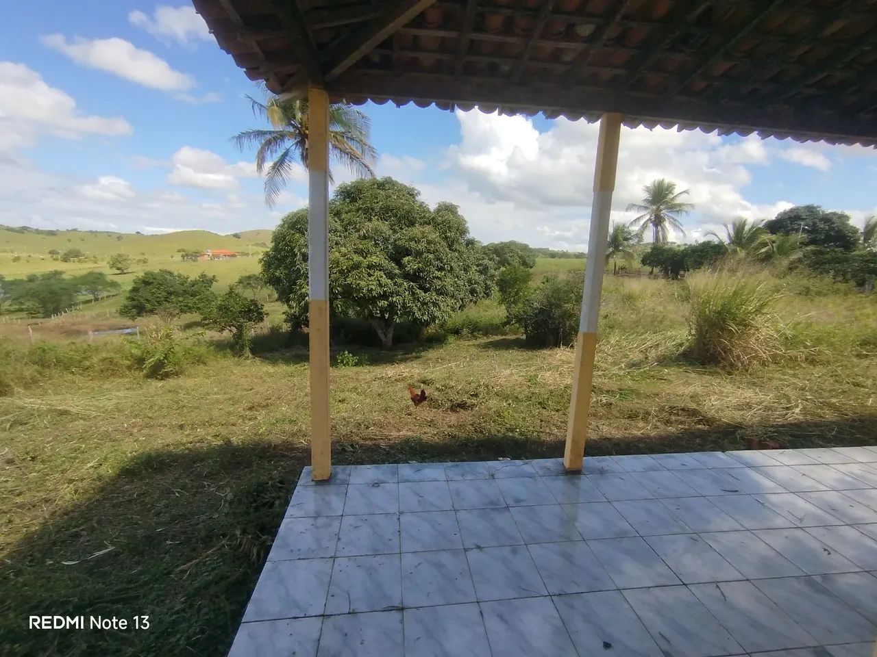 Serviços de roçagem - Foto 4