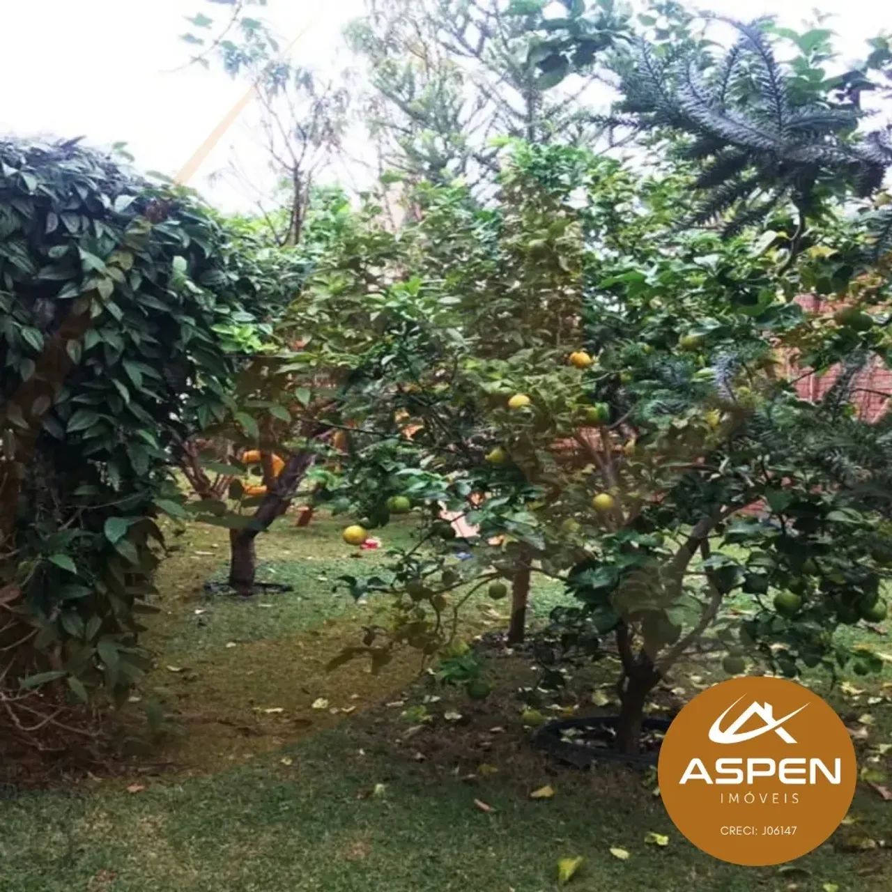ARAPONGAS I Casa - Jd. Vale das Perobas - Foto 2