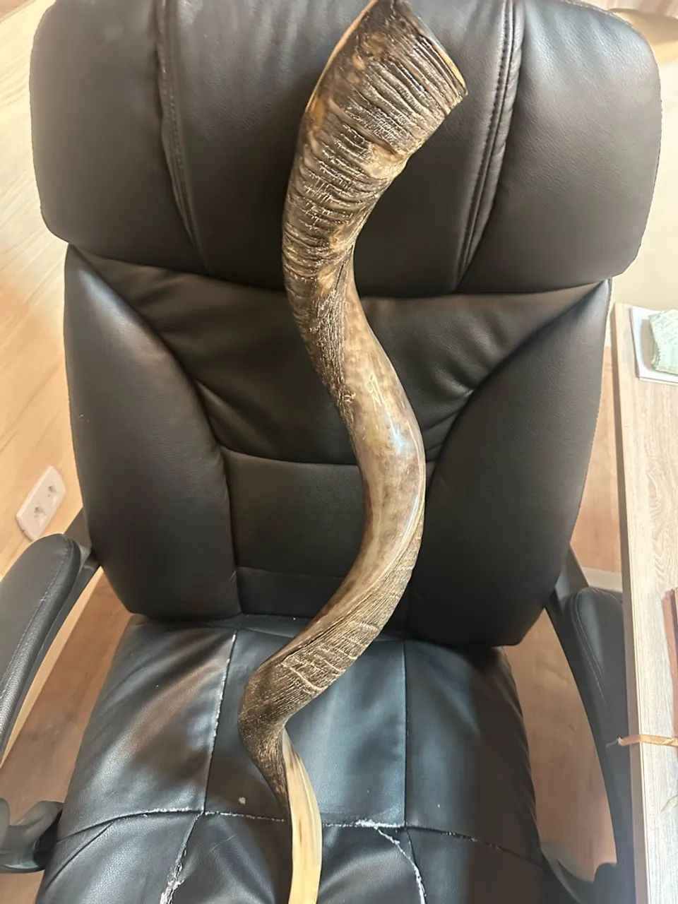 Shofar - Foto 4
