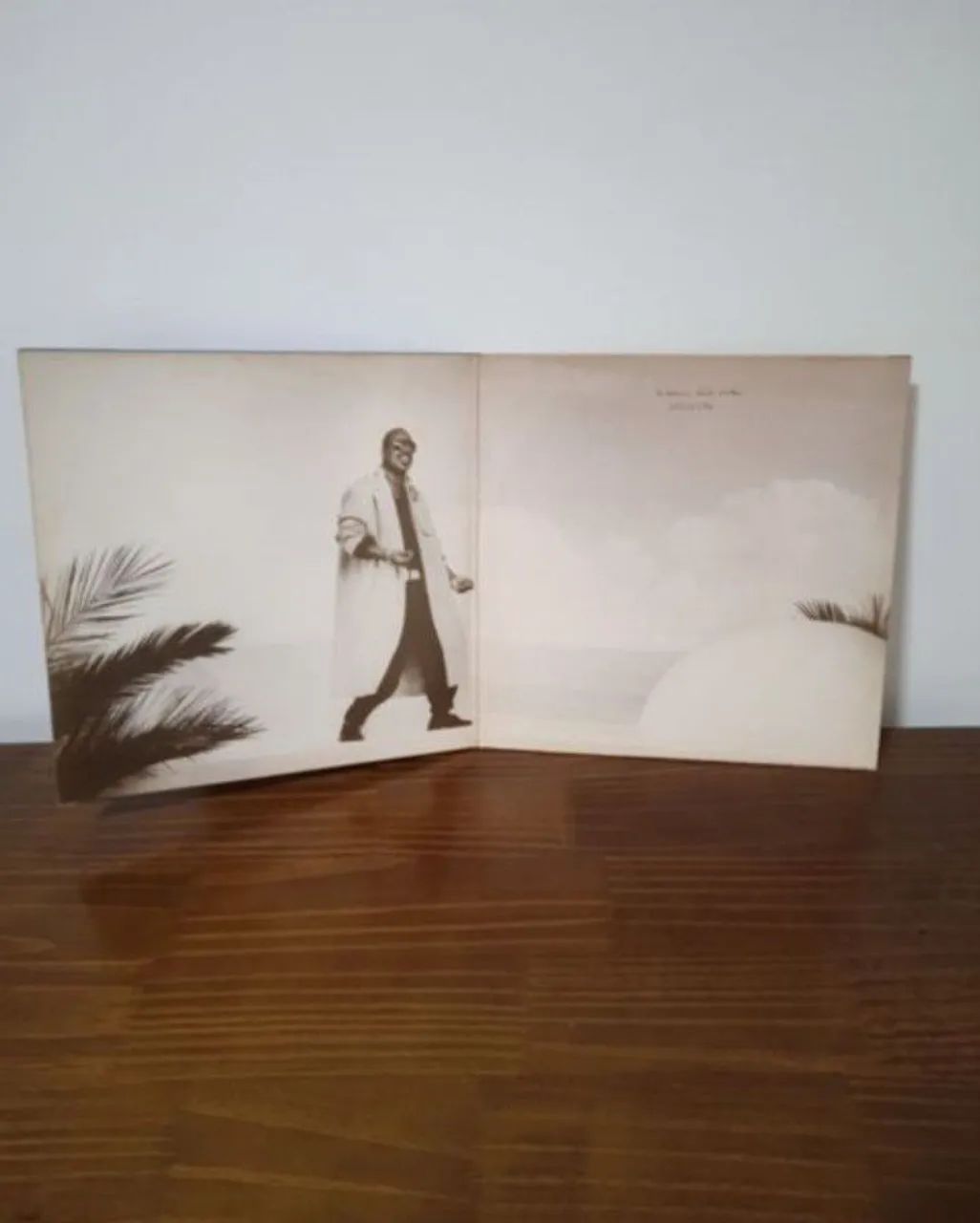 Disco de Vinil Steve Wonder "In Square Circle" - Foto 3