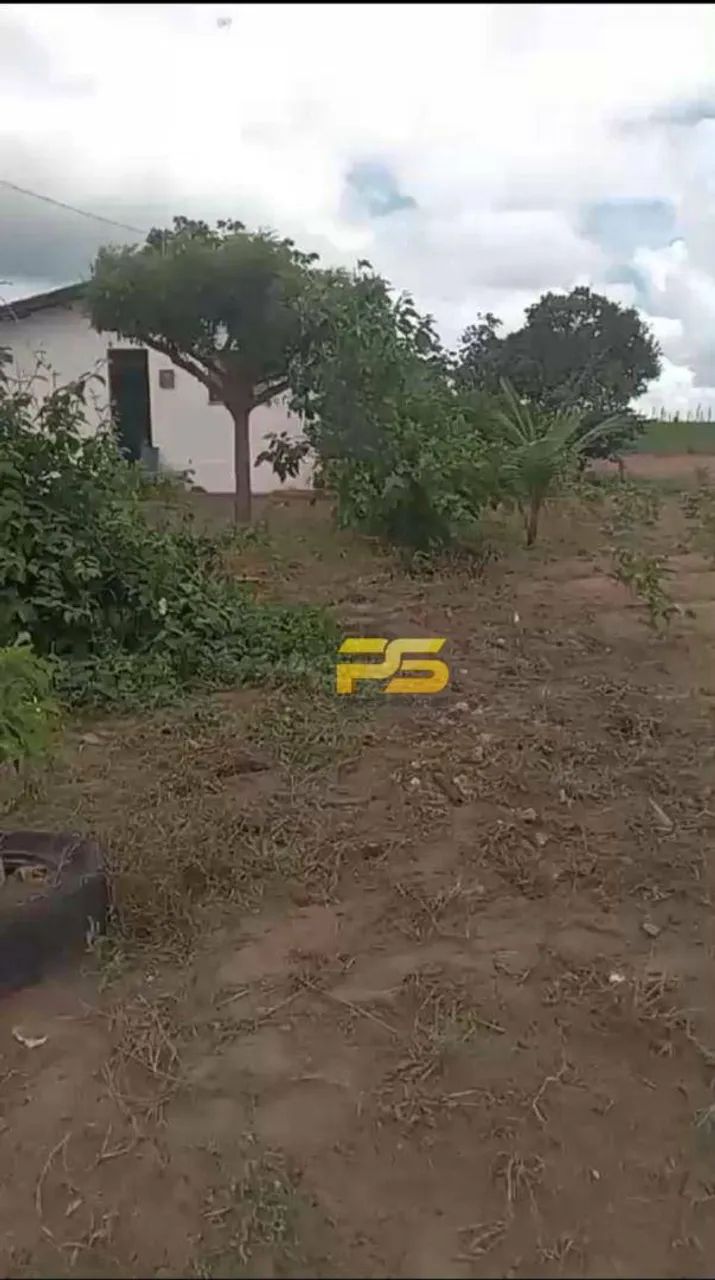 SÍTIO À VENDA  RIACHÃO DO POÇO (PRÓXIMO A SAPÉ/PB - Foto 4