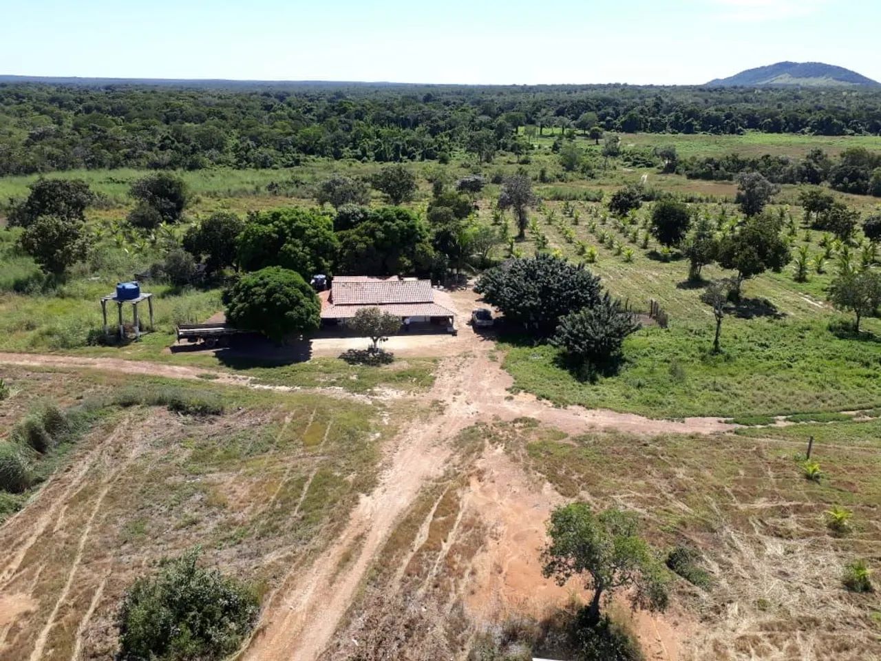 fazenda 