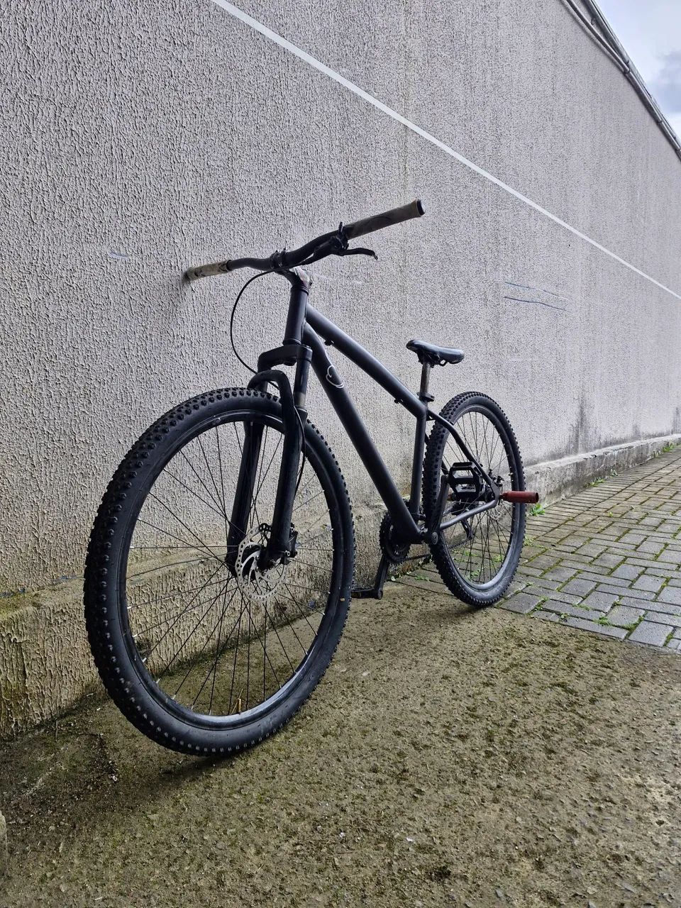 BIKE ARO 29
