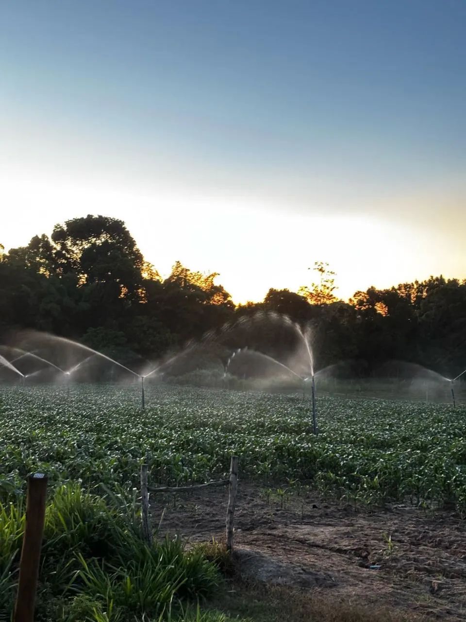Bomba para Irrigação 10CV, Semi Novo - Foto 2