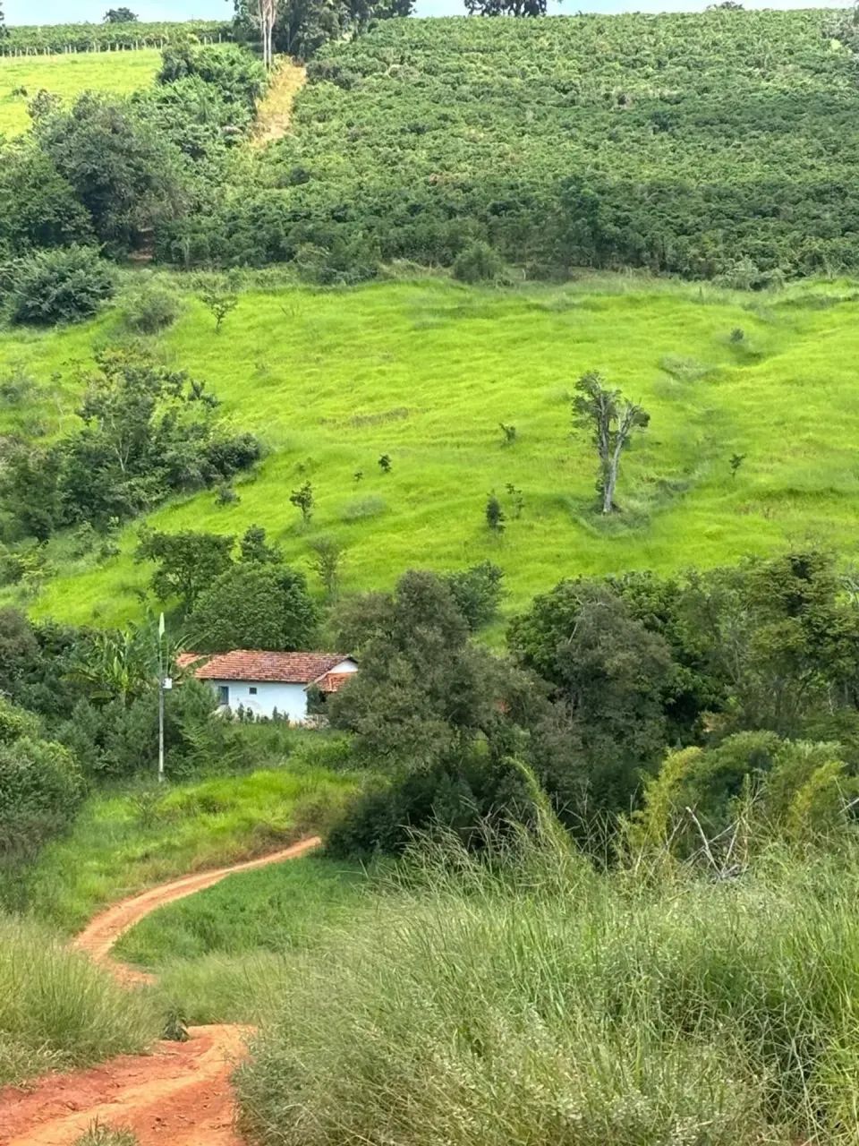 Fazenda Elói Mendes  MG - Foto 5