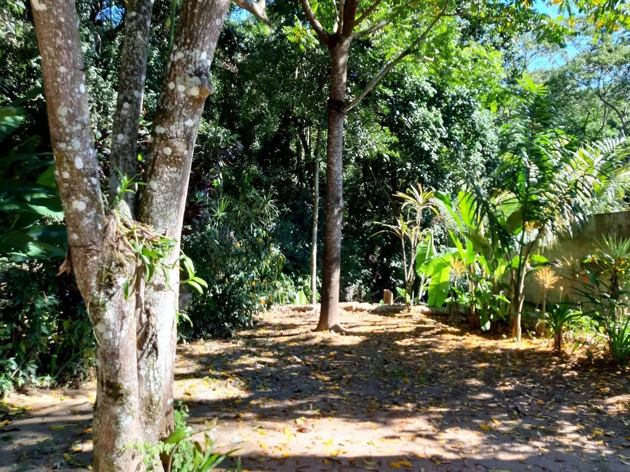Foto - Rio de Janeiro - Taquara