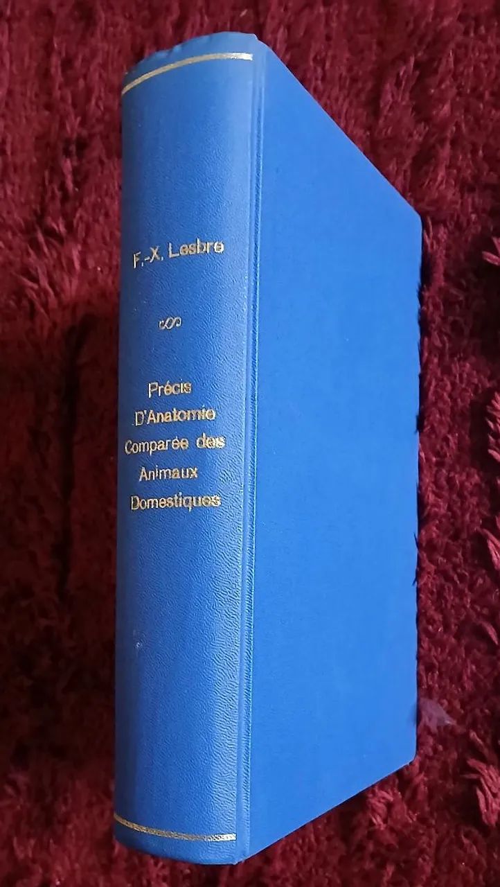 PRECIS D' ANATOMIE COMPAREE/ DES ANIMAUX  DOMESTIQUES