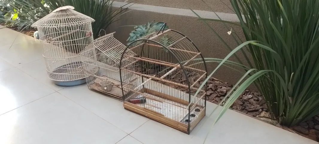 Gaiolas de pássaros em perfeito estado  - Foto 3