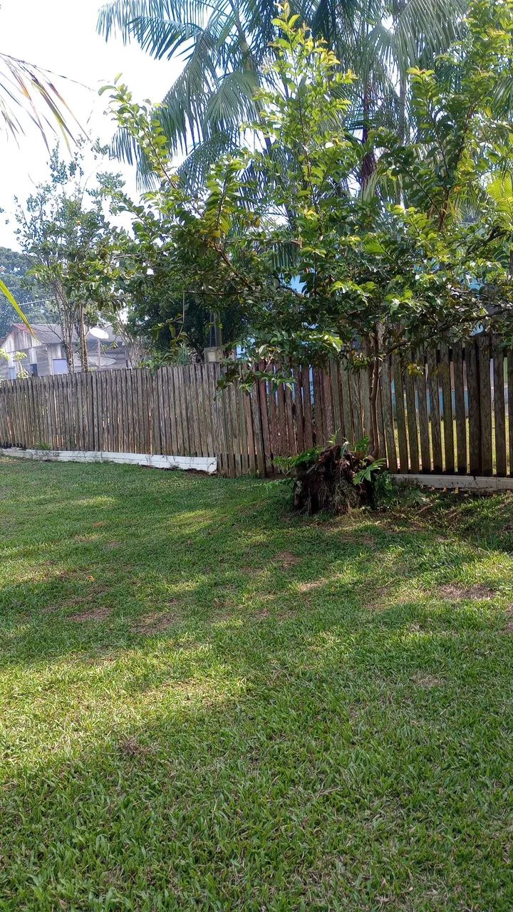 Terreno no ramal da castanheira 